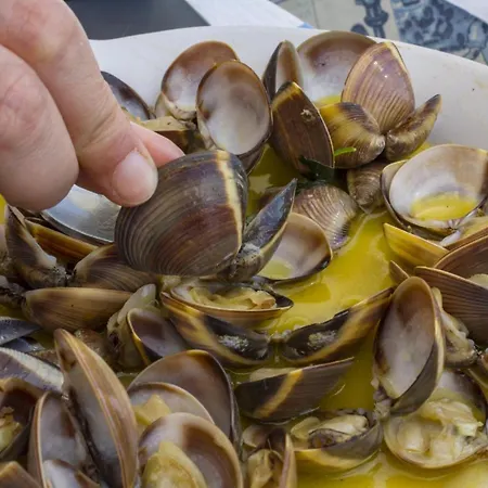 Appartamento Magnolia Sea View *