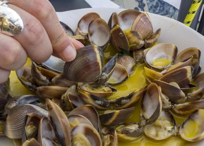 アパート Magnolia Sea View *